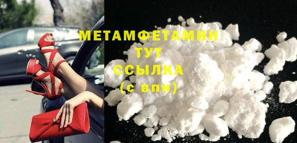 PSILOCYBIN Горняк