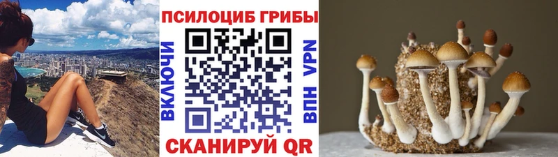 Псилоцибиновые грибы прущие грибы сайты даркнета как зайти Олёкминск закладка